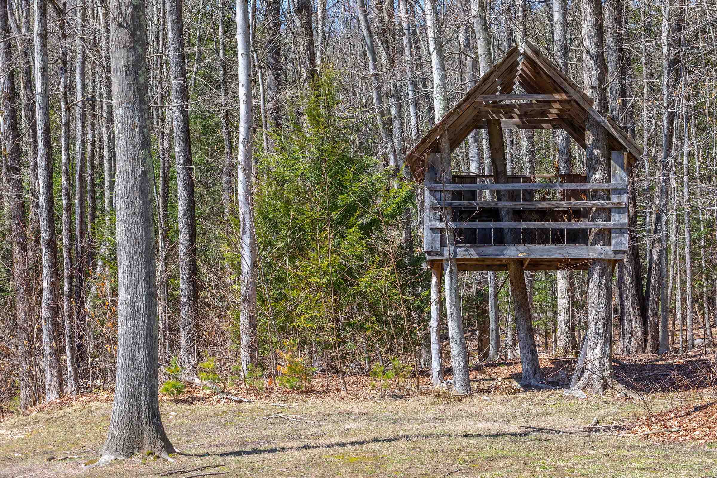 191 Pleasant St Extension Dorset, VT 05253 - Photo 9 of 45