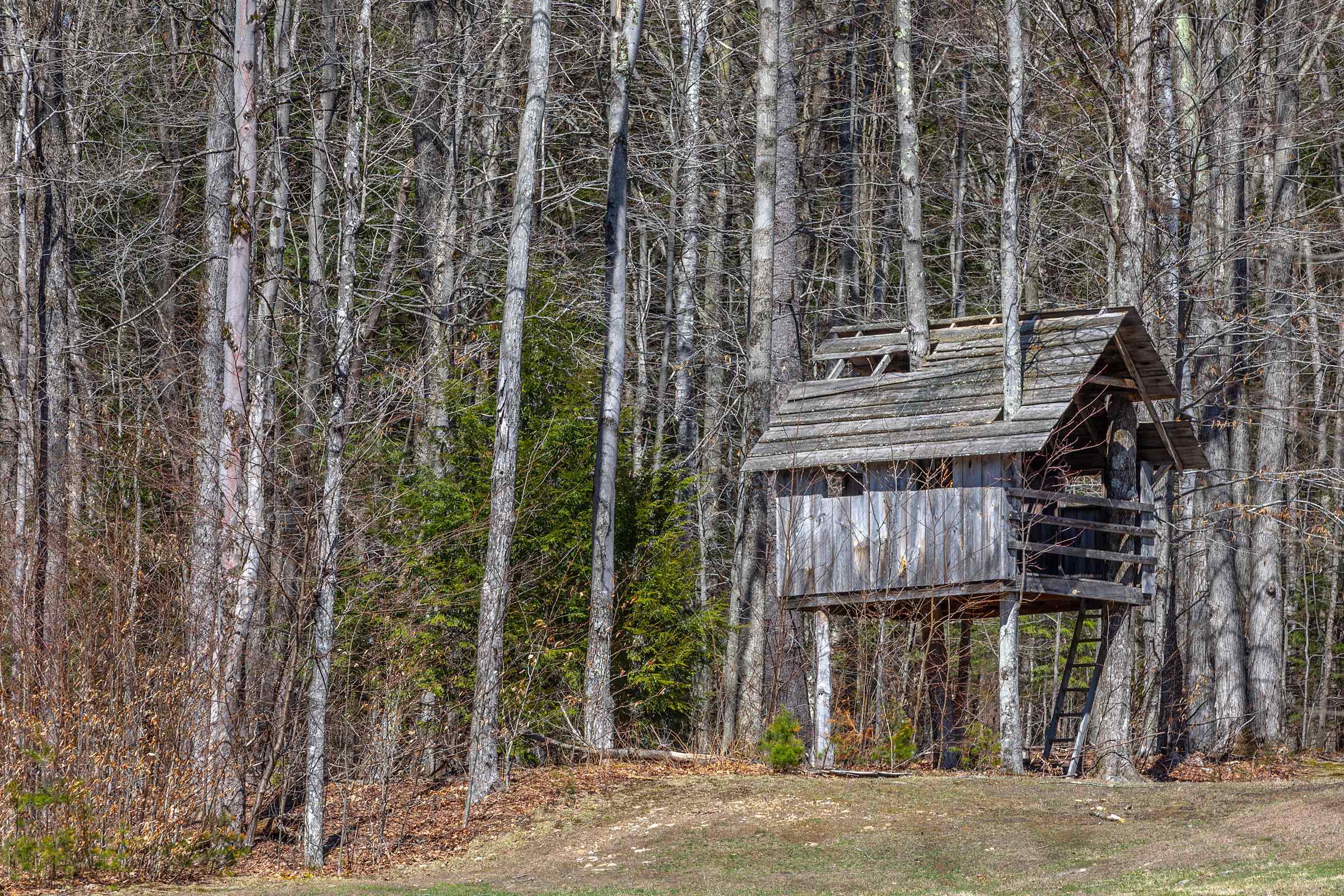 191 Pleasant St Extension Dorset, VT 05253 - Photo 10 of 45