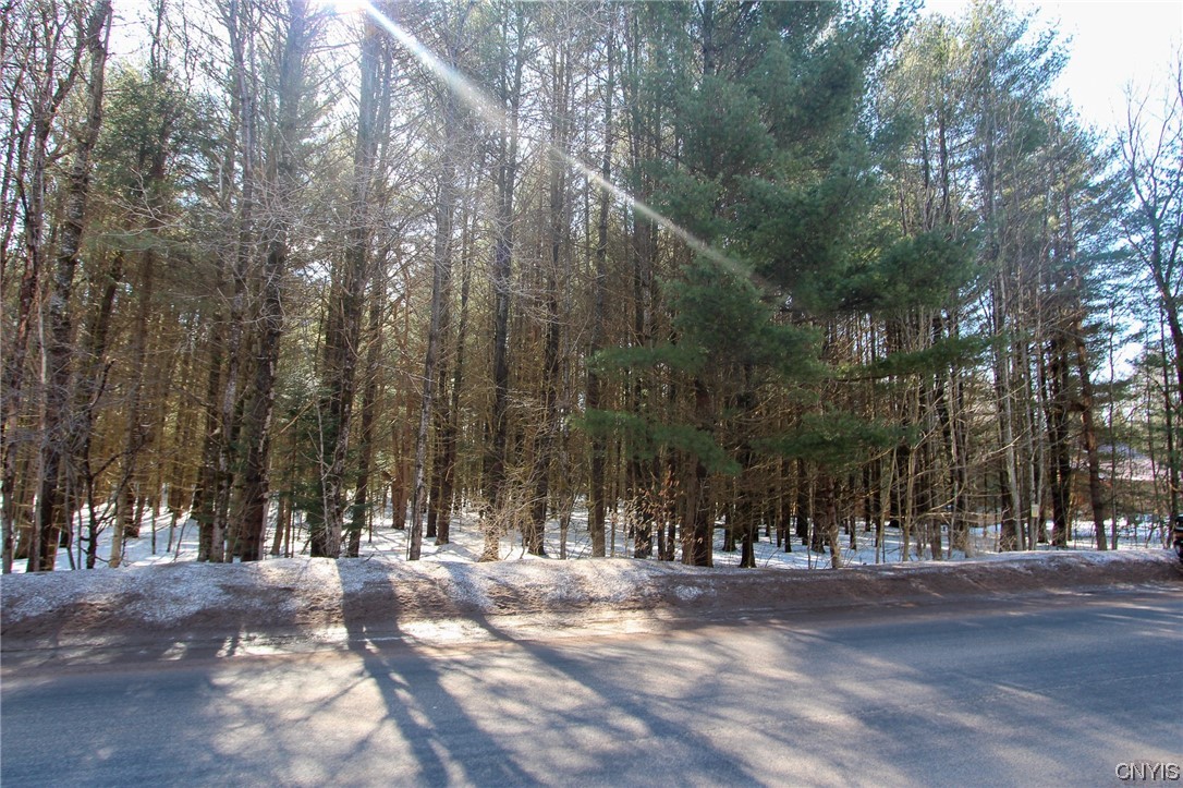 0 North Chases Lake Road Glenfield, NY 13343 - Photo 1 of 1