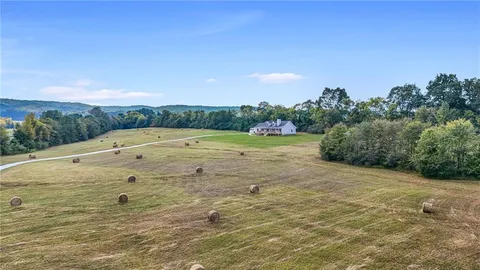 a view of a lake with a large trees