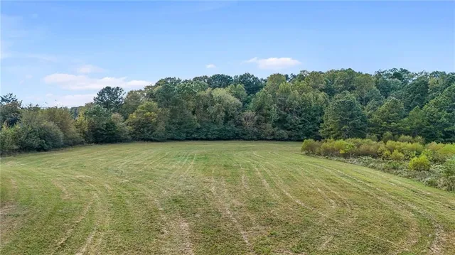a view of a green field with trees in the background