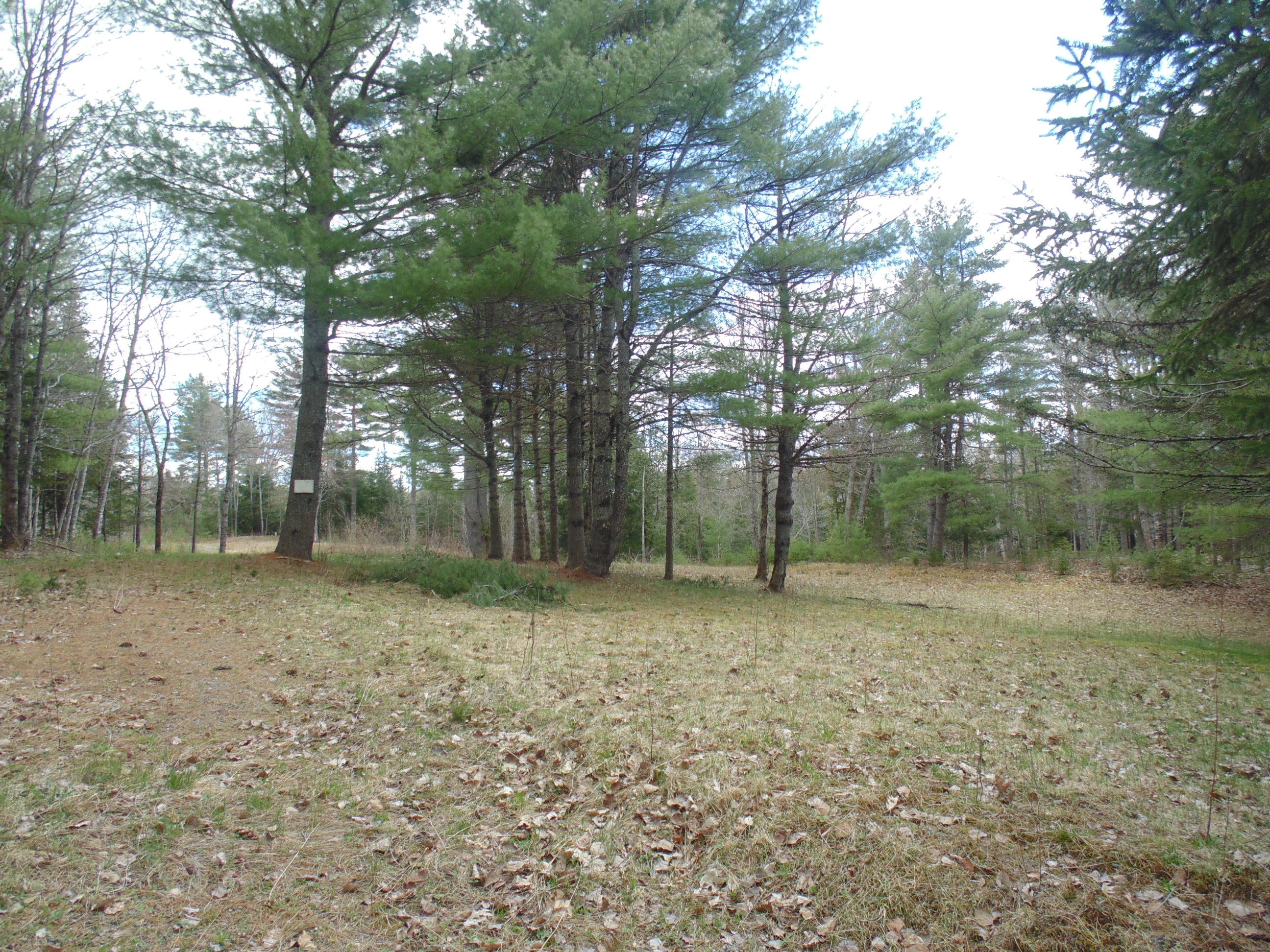 537 Airline Road Amherst, ME 04605 - Photo 53 of 57 DSC06076