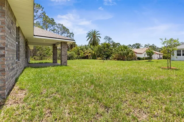 a view of a big yard with potted plants