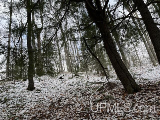 545 South Rd Skandia Mi 49885 Road Skandia, MI 49885 - Photo 33 of 38