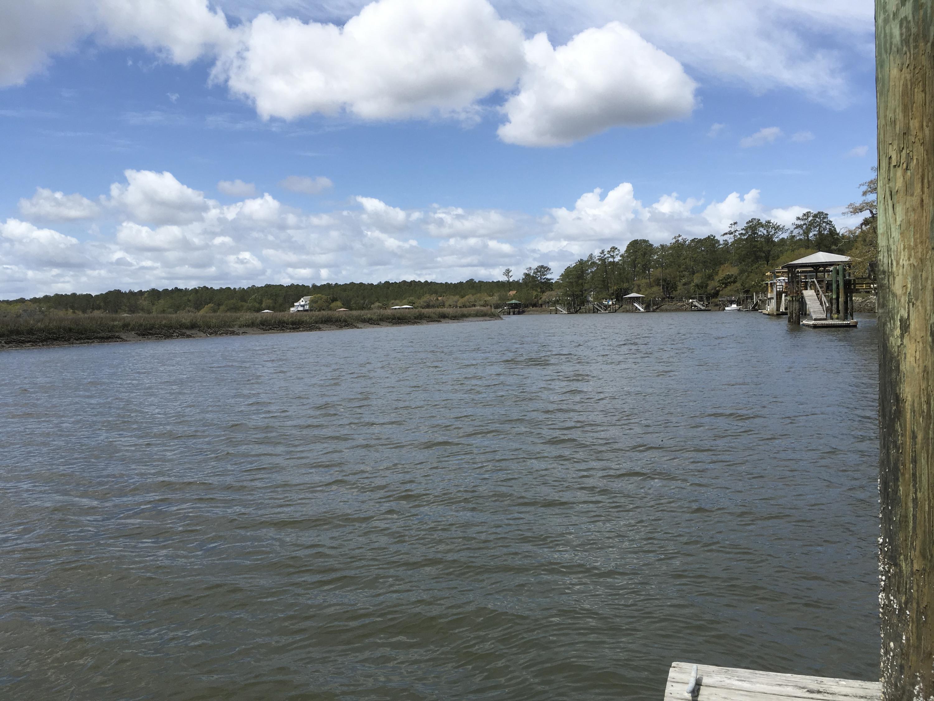 7819 Russell Creek Road Edisto Island, SC 29438 - Photo 1 of 29 Water view 1