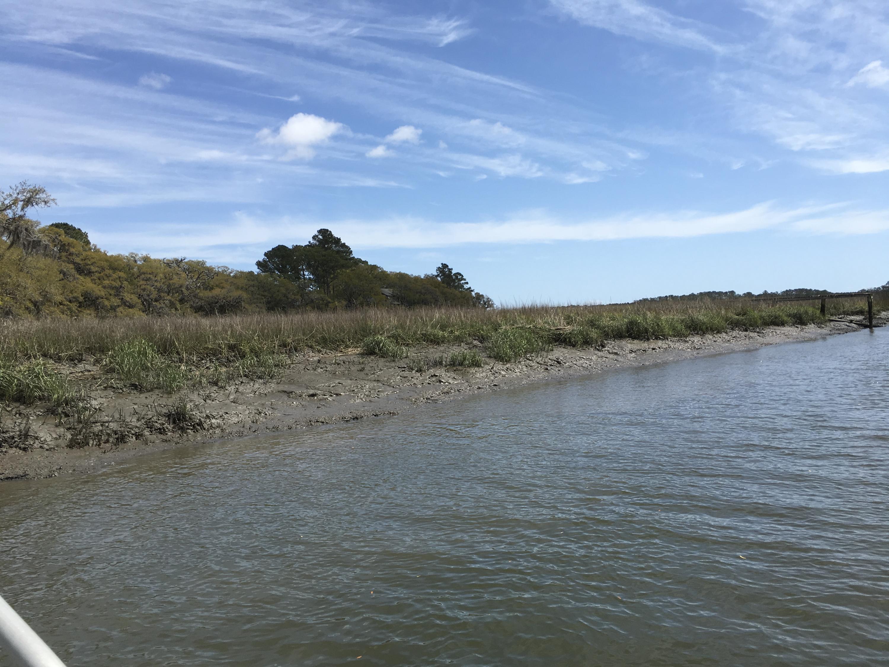 7819 Russell Creek Road Edisto Island, SC 29438 - Photo 2 of 29 Water view 2