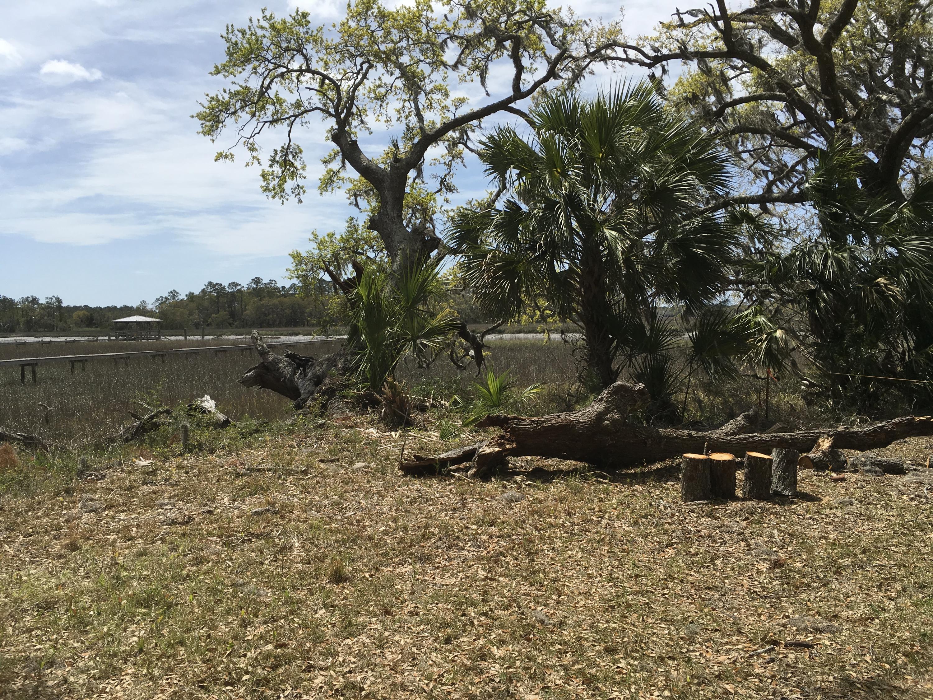 7819 Russell Creek Road Edisto Island, SC 29438 - Photo 11 of 29 Marsh view 3