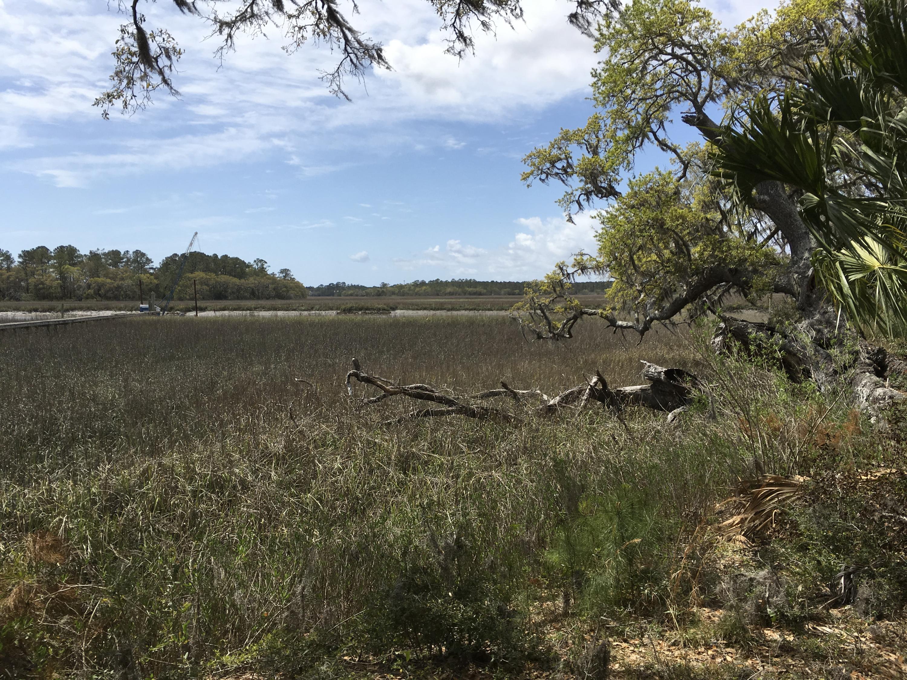 7819 Russell Creek Road Edisto Island, SC 29438 - Photo 12 of 29 Marsh view 4
