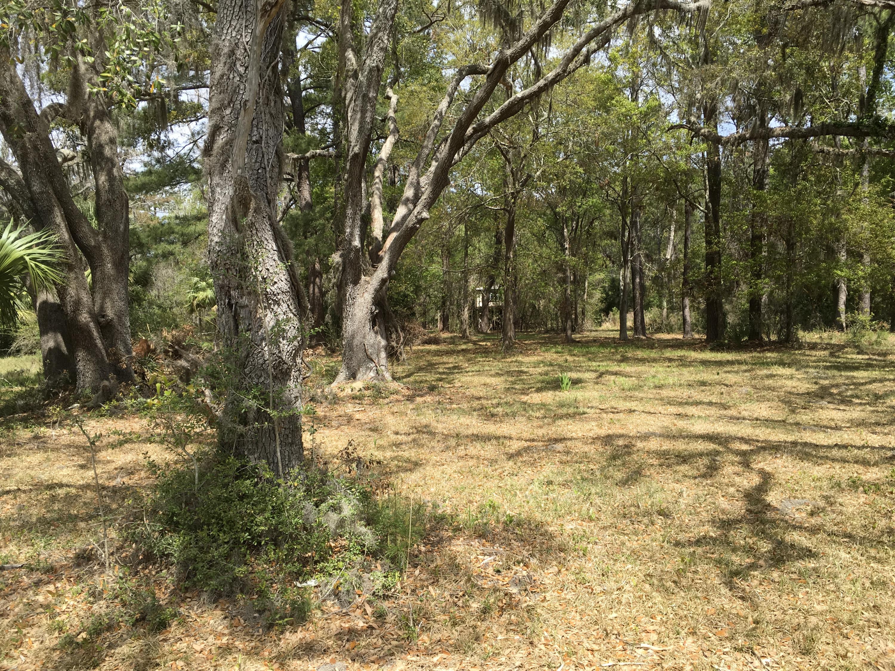 7819 Russell Creek Road Edisto Island, SC 29438 - Photo 15 of 29 Oaks 3