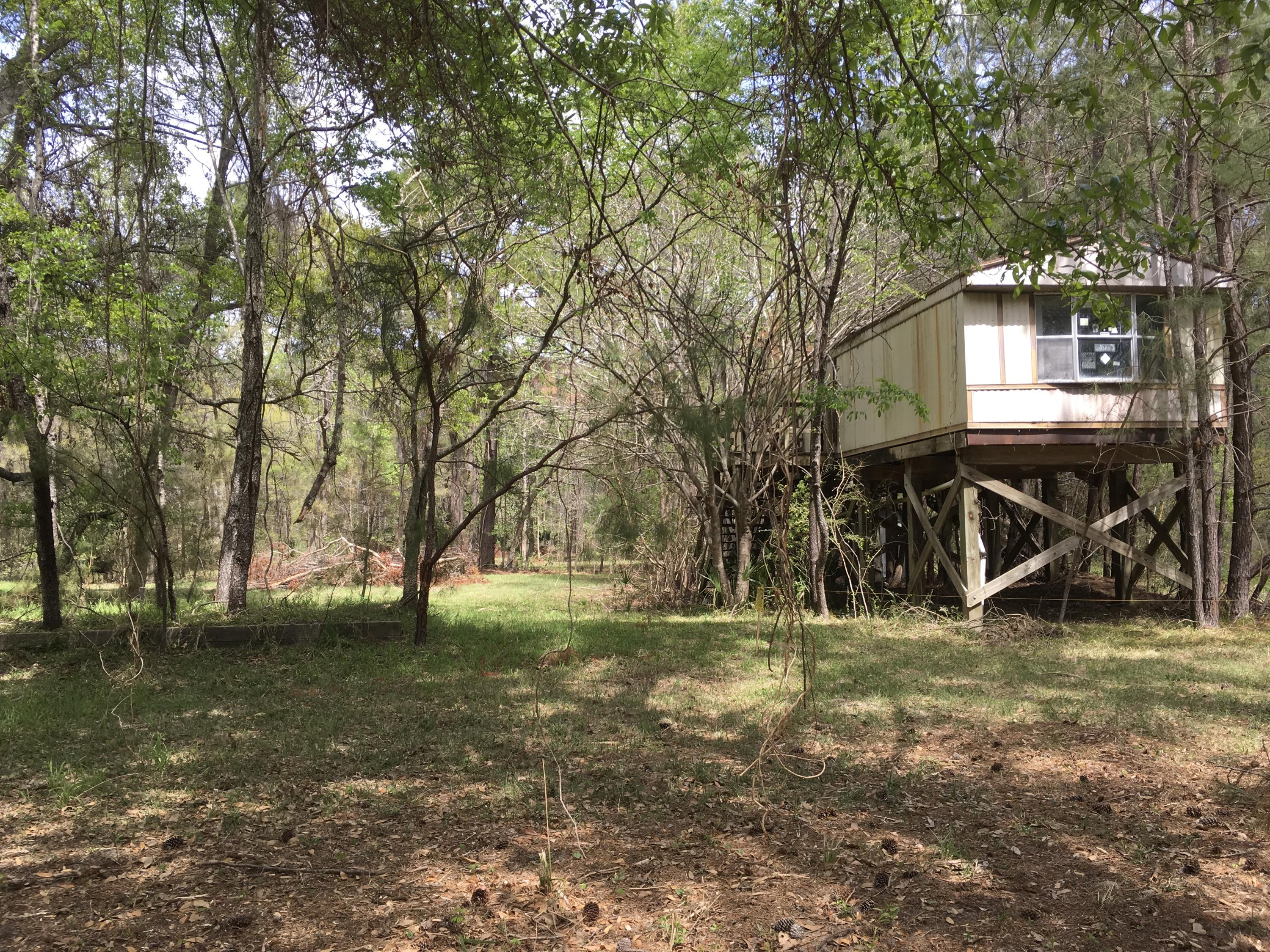 7819 Russell Creek Road Edisto Island, SC 29438 - Photo 16 of 29 Woods 1