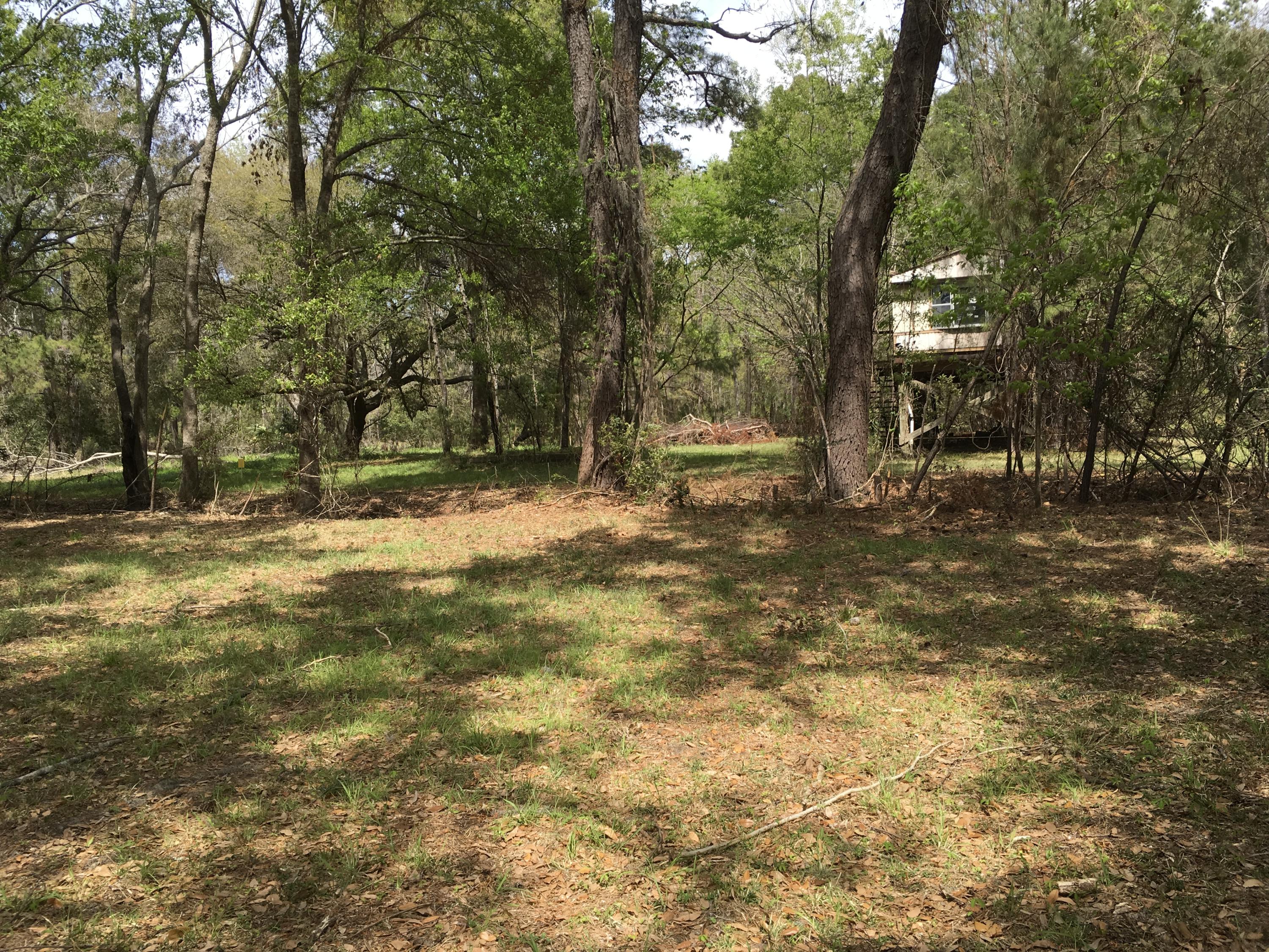 7819 Russell Creek Road Edisto Island, SC 29438 - Photo 17 of 29 Woods 2