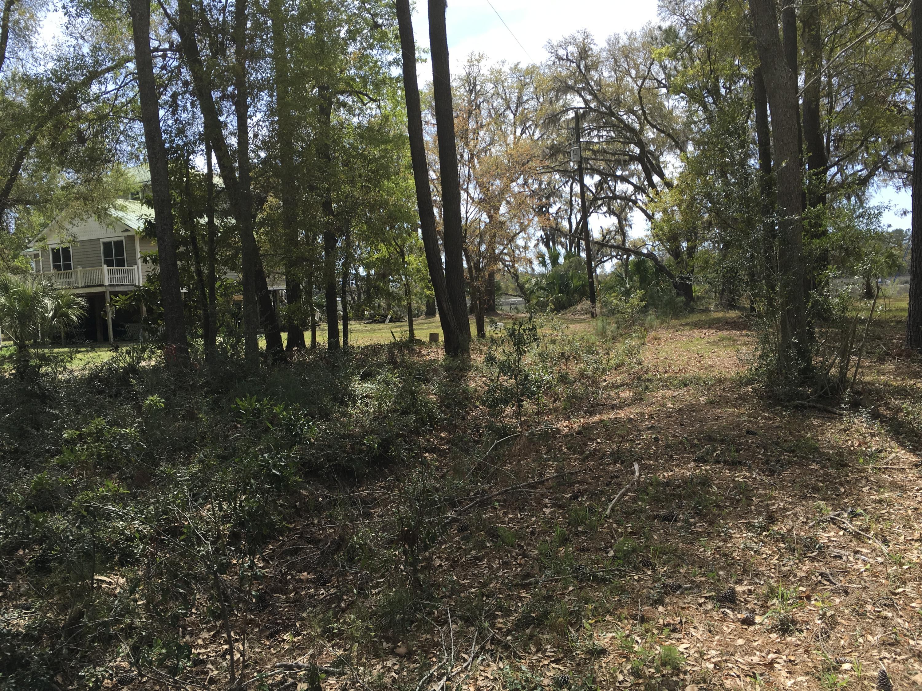 7819 Russell Creek Road Edisto Island, SC 29438 - Photo 18 of 29 Woods 3