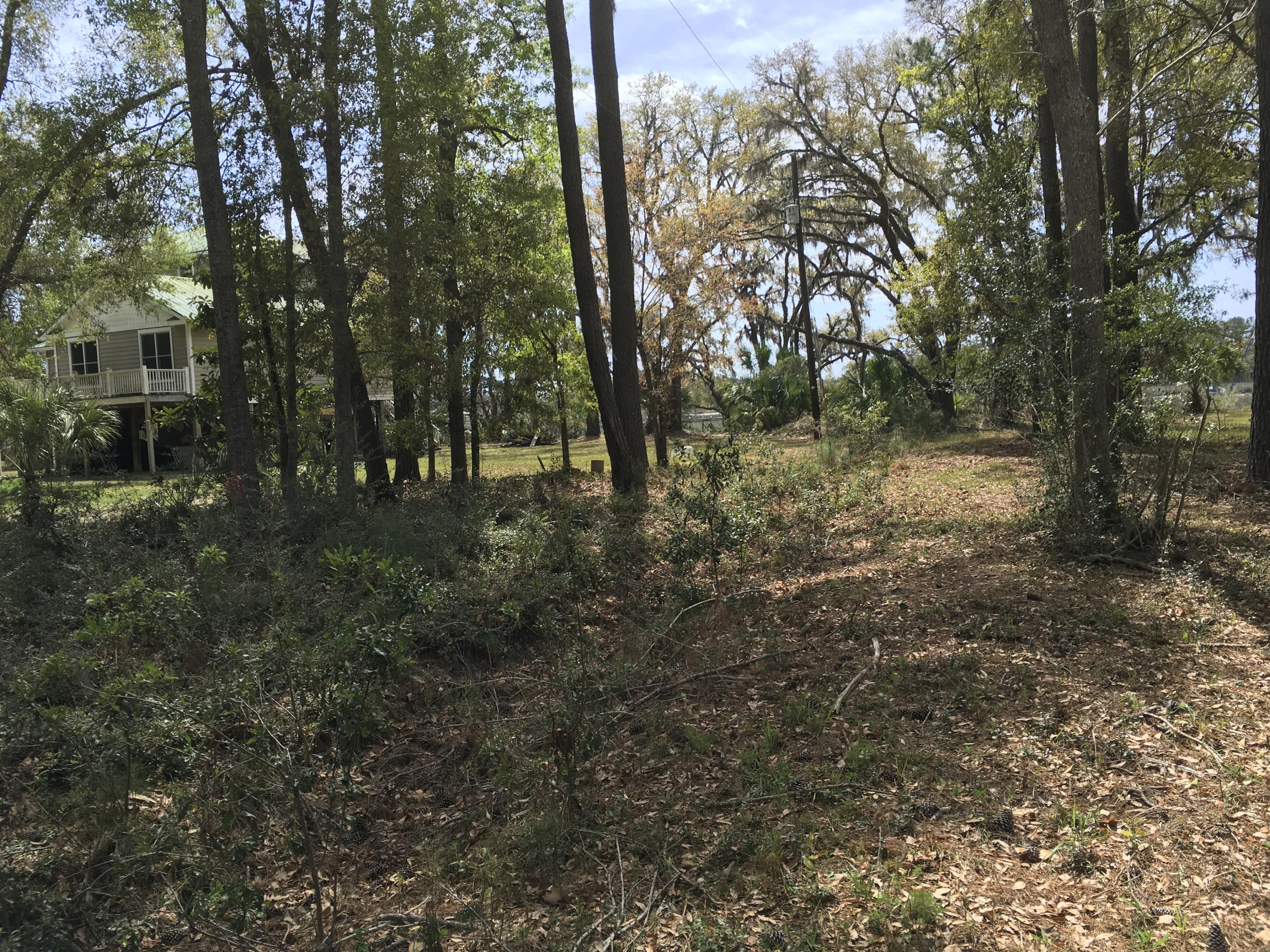 7819 Russell Creek Road Edisto Island, SC 29438 - Photo 19 of 29 Woods 4