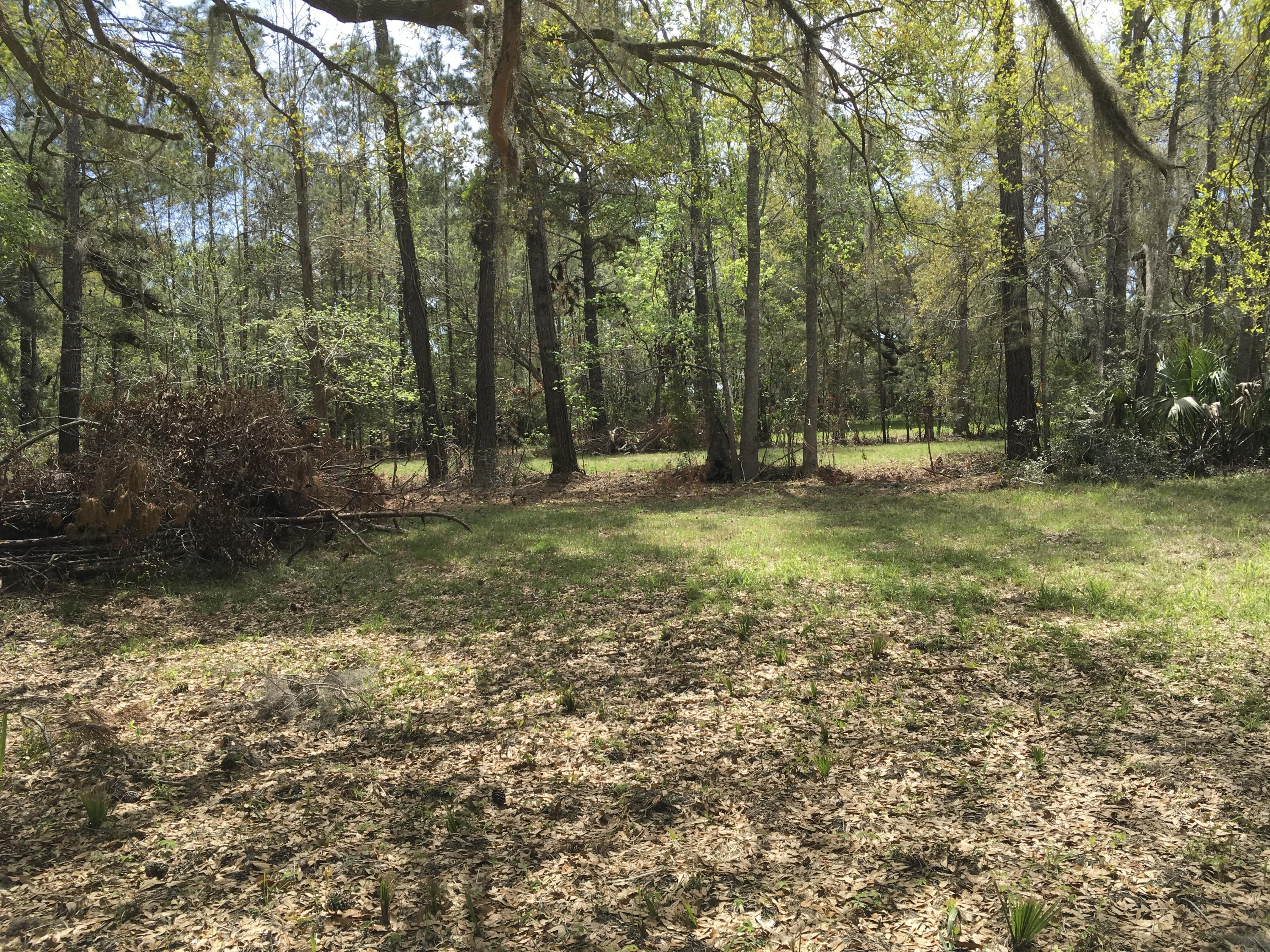 7819 Russell Creek Road Edisto Island, SC 29438 - Photo 20 of 29 Woods 5