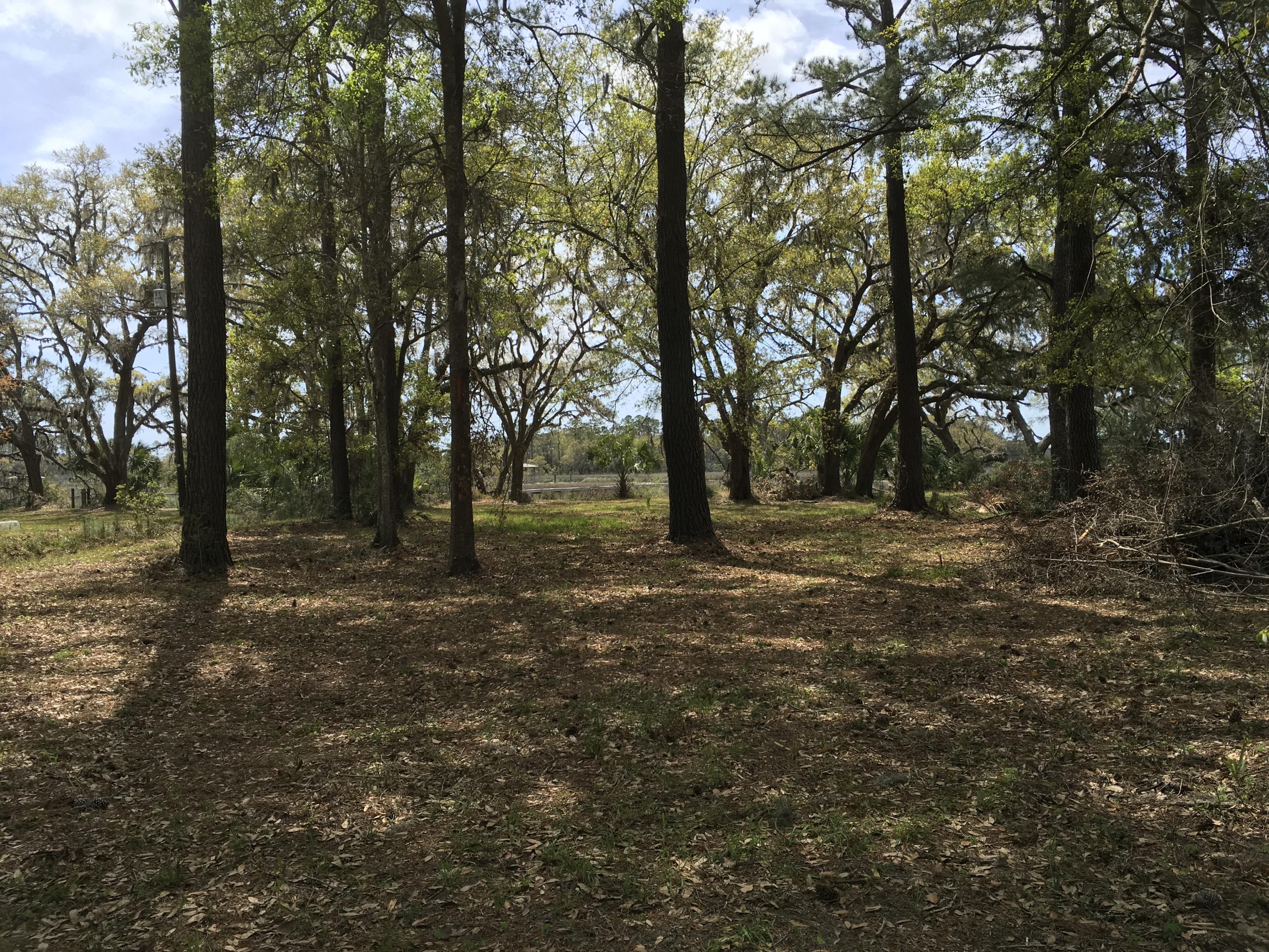 7819 Russell Creek Road Edisto Island, SC 29438 - Photo 22 of 29 A great homesite