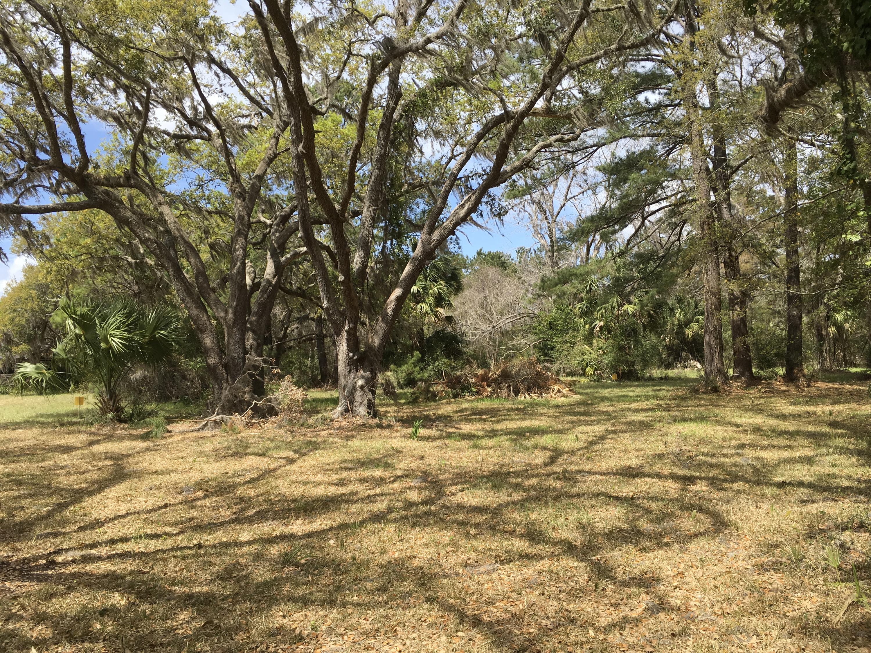 7819 Russell Creek Road Edisto Island, SC 29438 - Photo 23 of 29 Lot partially cleared