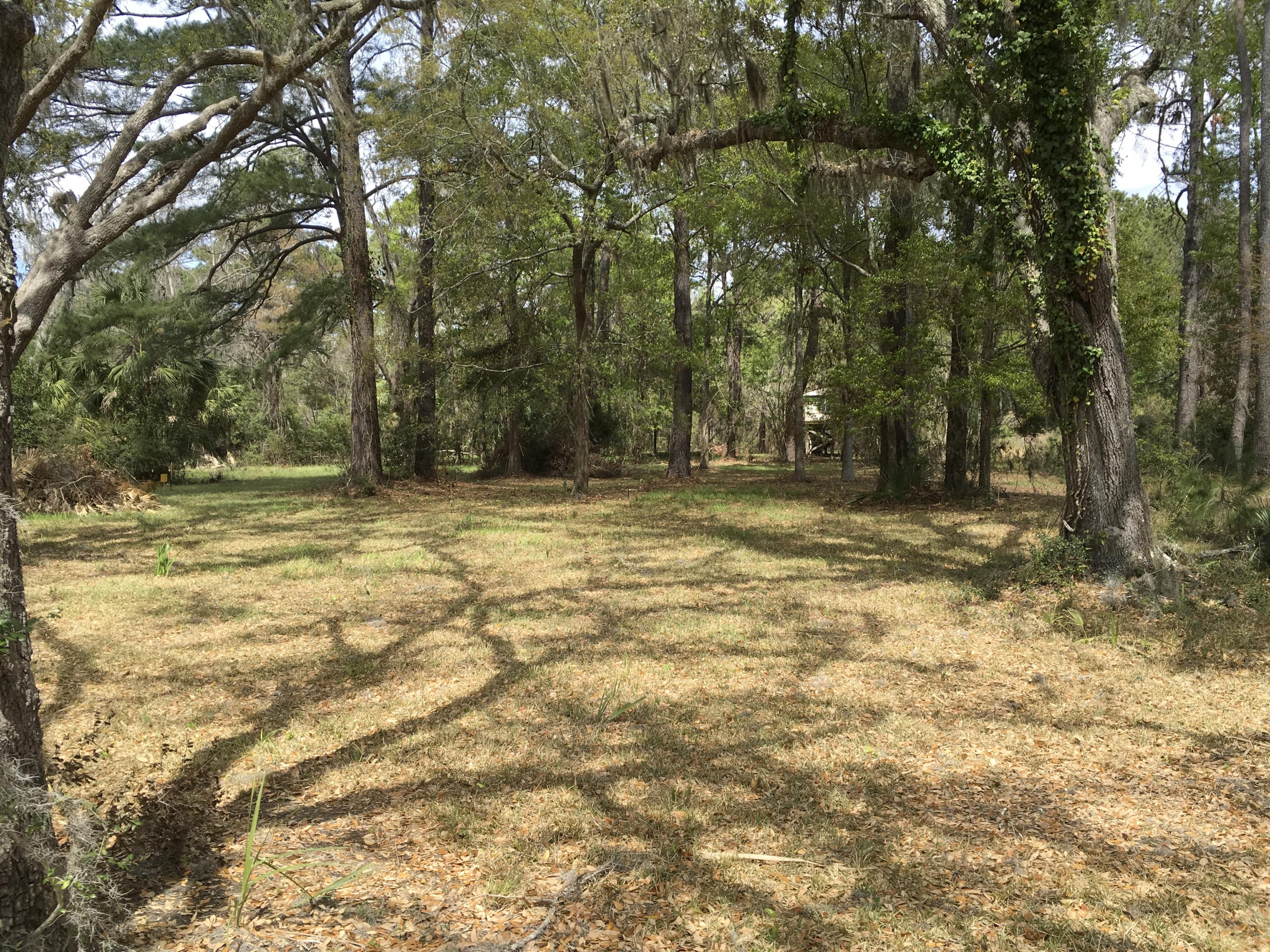 7819 Russell Creek Road Edisto Island, SC 29438 - Photo 24 of 29 Lot Partially cleared