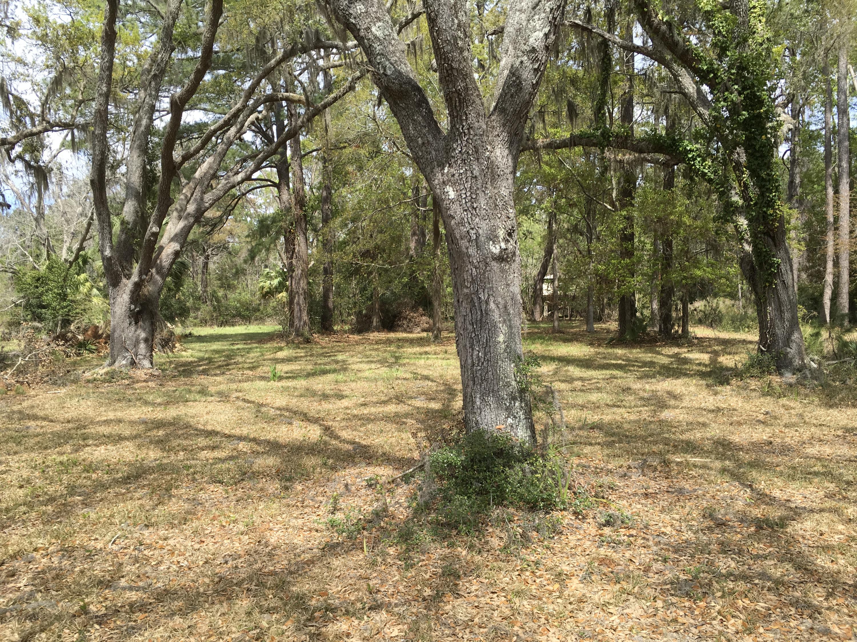 7819 Russell Creek Road Edisto Island, SC 29438 - Photo 25 of 29 Lot partially cleared