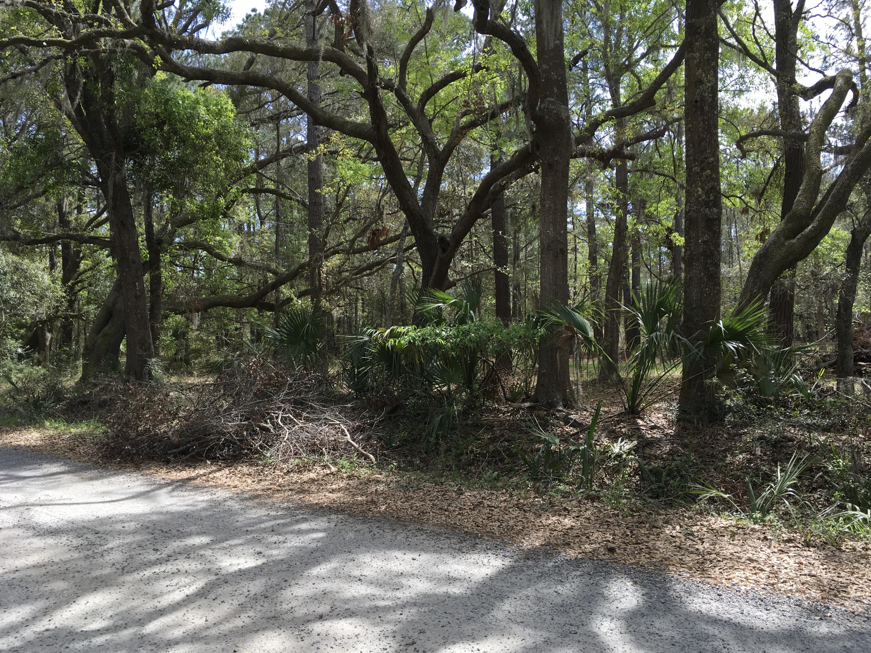 7819 Russell Creek Road Edisto Island, SC 29438 - Photo 27 of 29 Road view 2