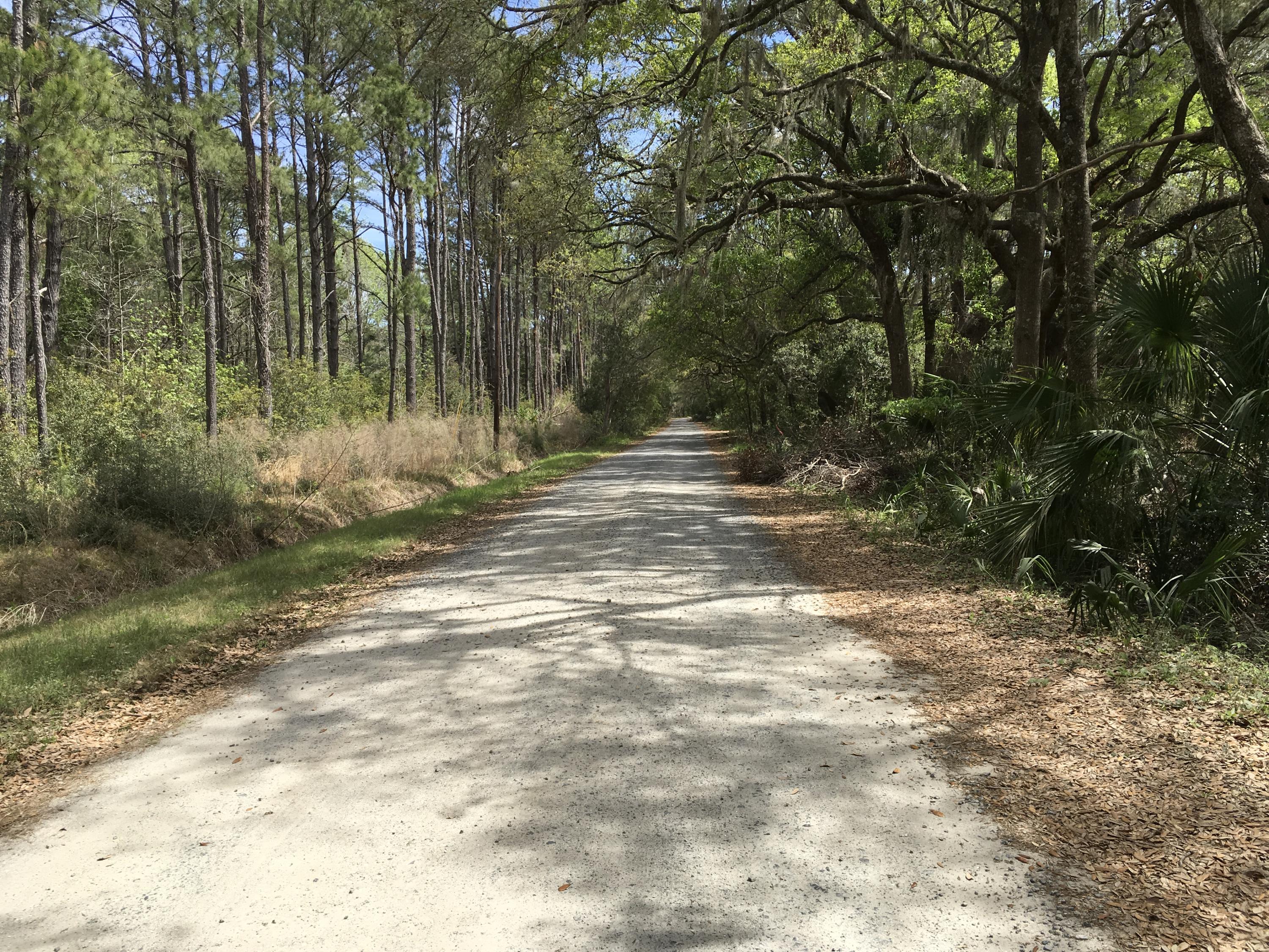 7819 Russell Creek Road Edisto Island, SC 29438 - Photo 28 of 29 Road view 3
