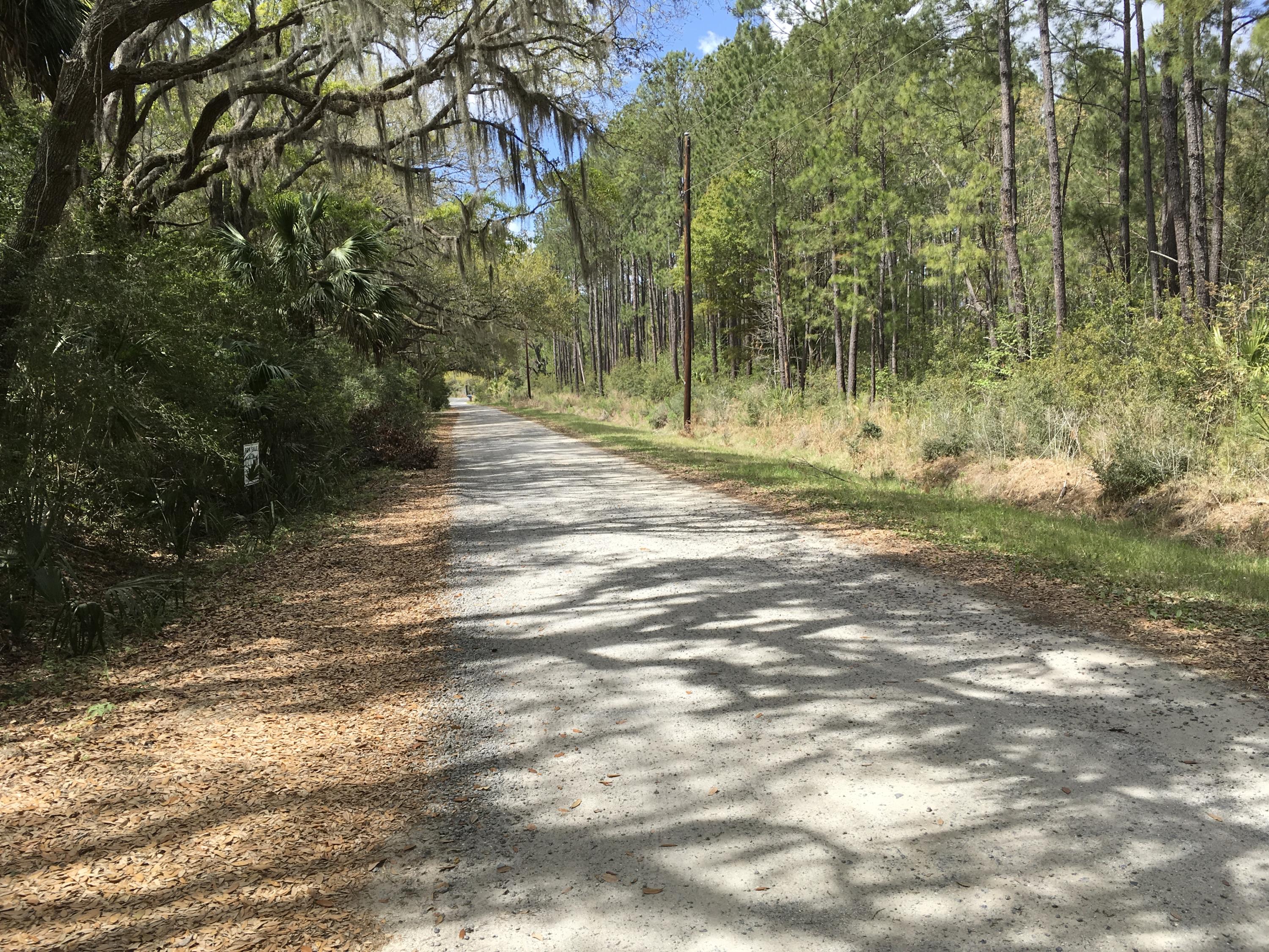 7819 Russell Creek Road Edisto Island, SC 29438 - Photo 29 of 29 Road view 4