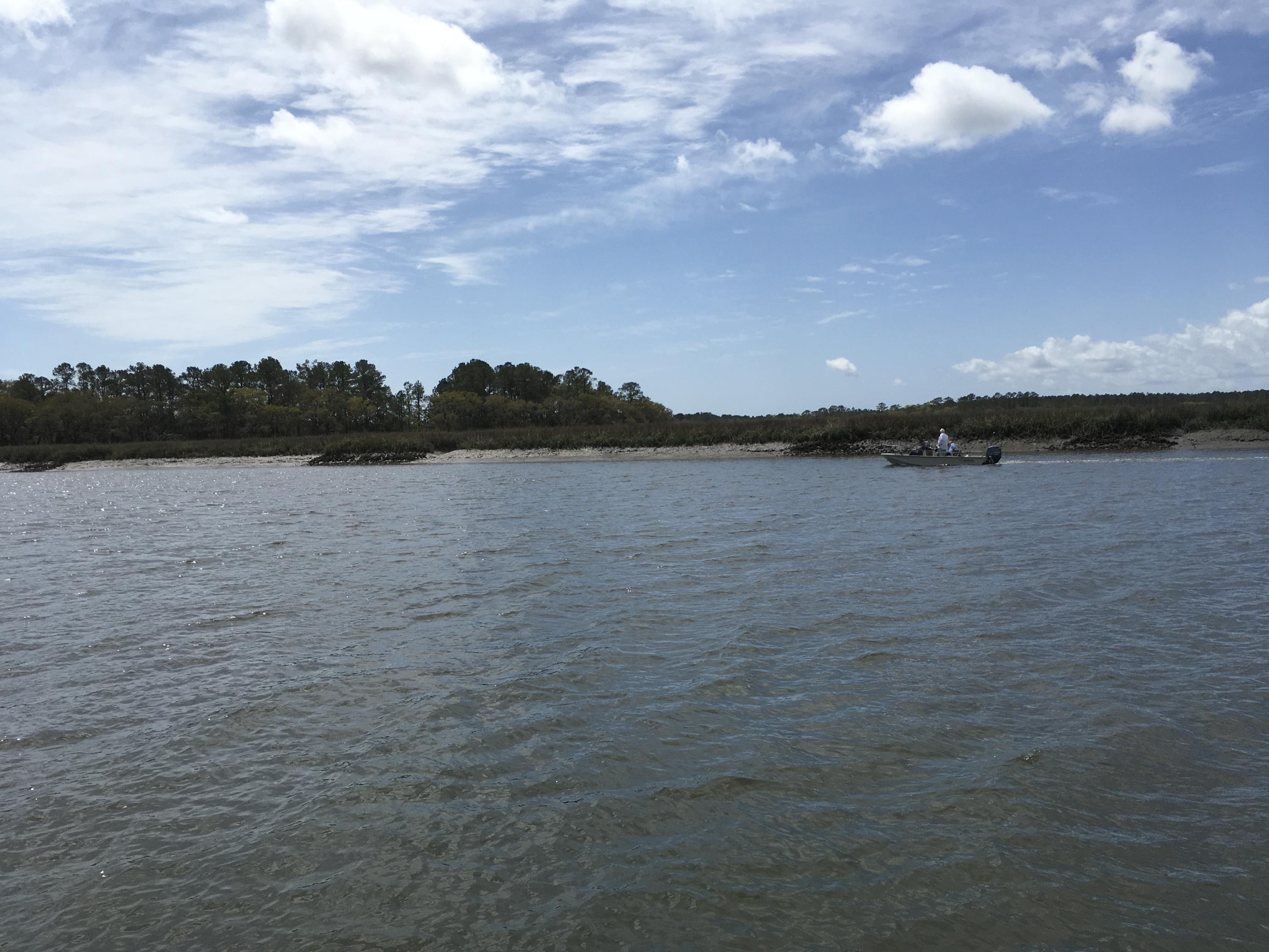 7819 Russell Creek Road Edisto Island, SC 29438 - Photo 4 of 29 Water view 4