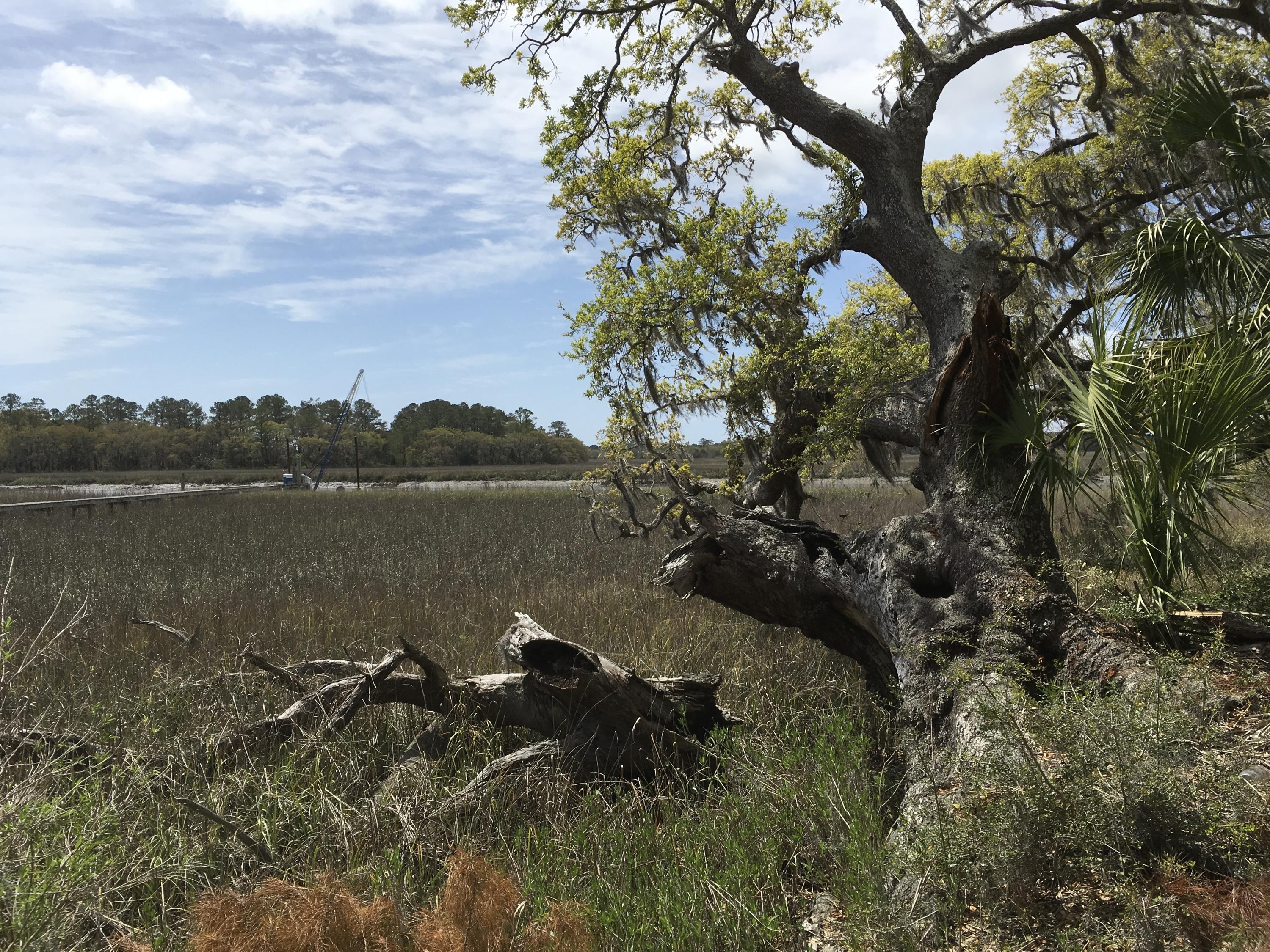 7819 Russell Creek Road Edisto Island, SC 29438 - Photo 10 of 29 Marsh view 2
