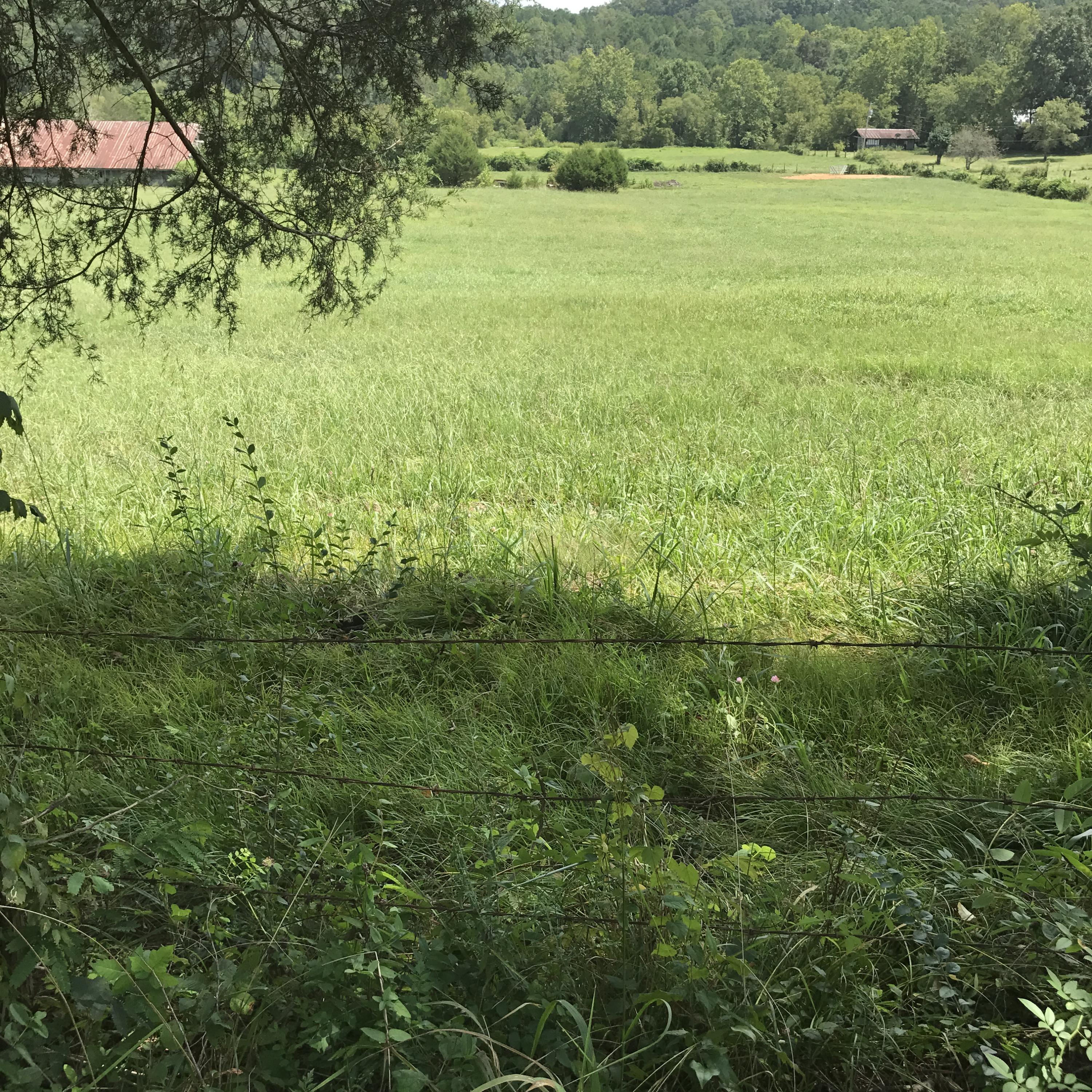 0 Southwest Candies Creek Road Southwest Cleveland, TN 37311 - Photo 1 of 1 0 Candies Creek pic