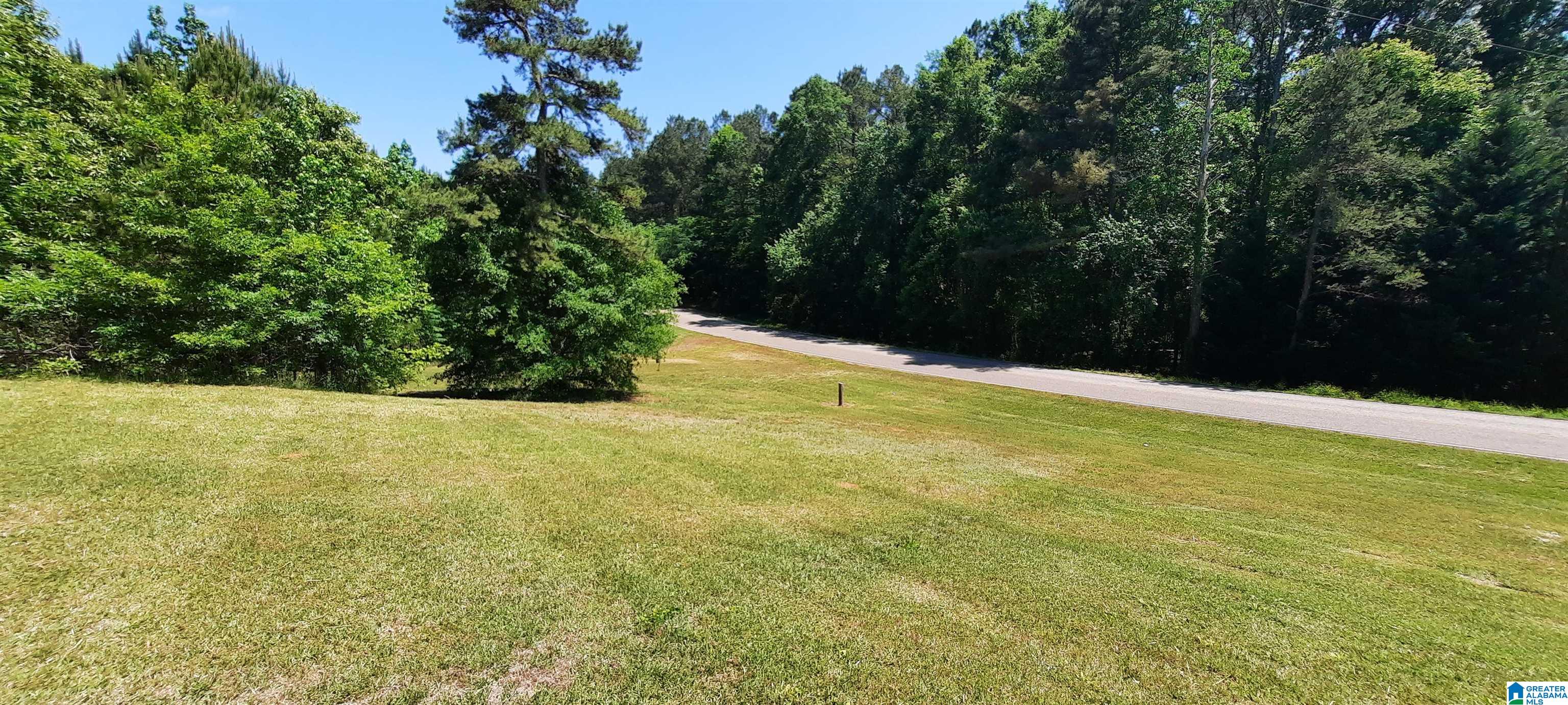 10778 County Road 19 Heflin, AL 36264 - Photo 3 of 41