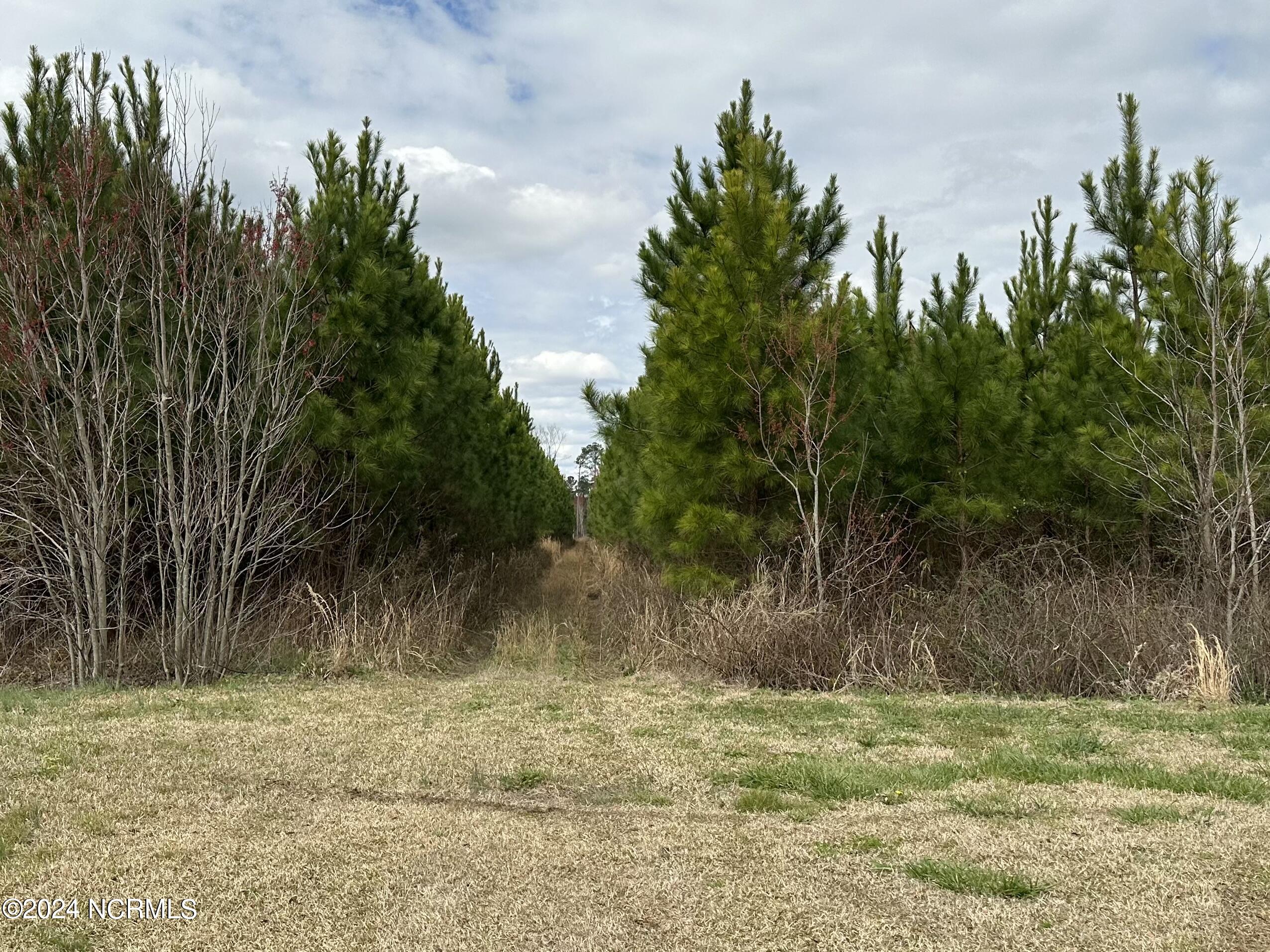 1669 Klondyke Road Chadbourn, NC 28431 - Photo 5 of 9 IMG_5907