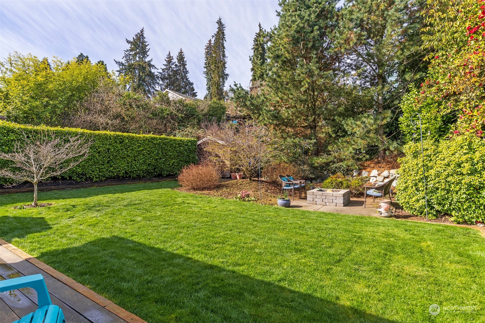 1505 35th Avenue South Seattle, WA 98144 - Photo 38 of 39 a view of a park with large trees
