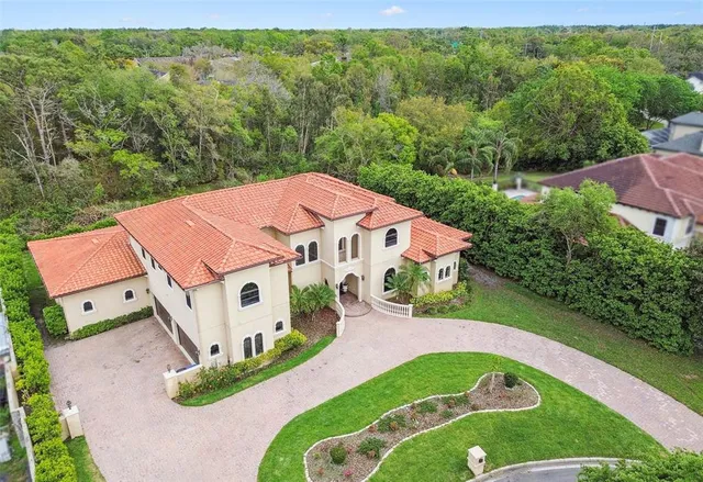 $3,727,000 | 17005 Madres De Avila, Tampa, FL 33613