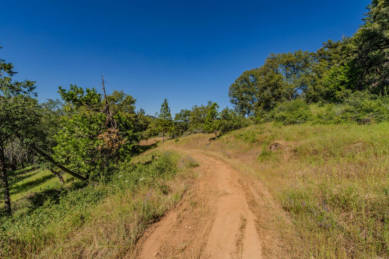 0 Schaefer Ranch Road Pioneer, CA 95666 - Photo 47 of 72
