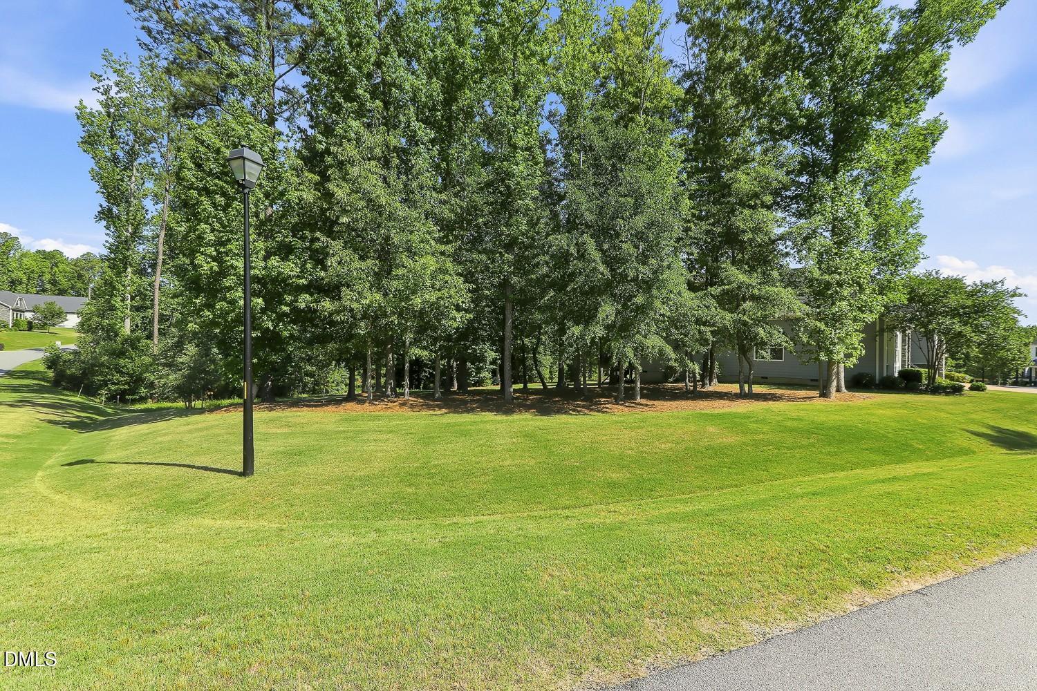 2520 Runner Stone Way Raleigh, NC 27603 - Photo 67 of 69