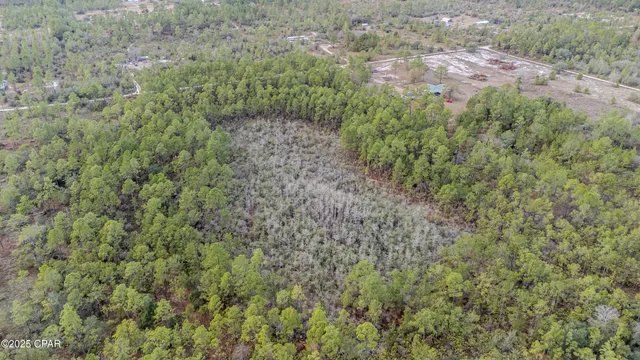 $100,000 | 3-1n-11w Baker Road, Altha, FL 32421