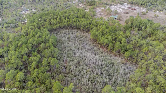 $100,000 | 3-1n-11w Baker Road, Altha, FL 32421