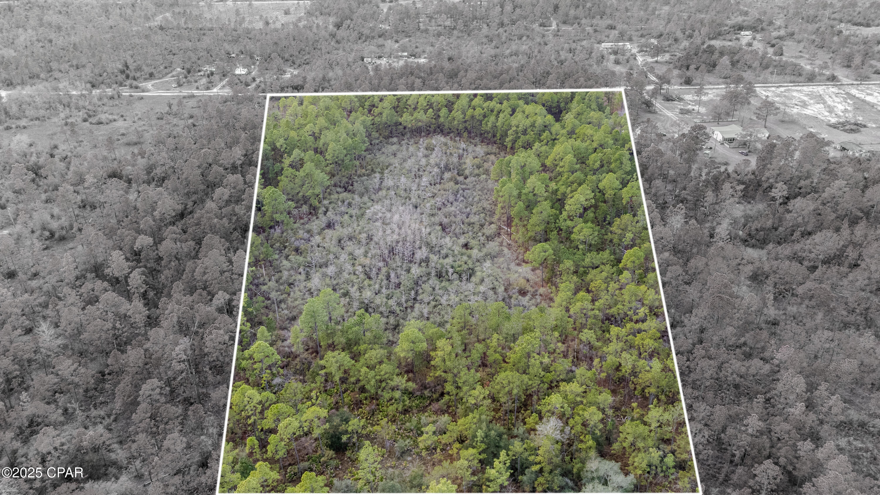 3-1n-11w Baker Road Altha, FL 32421 - Photo 3 of 15