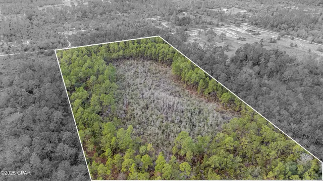 $100,000 | 3-1n-11w Baker Road, Altha, FL 32421