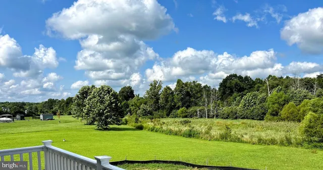 a view of a big yard with a large trees