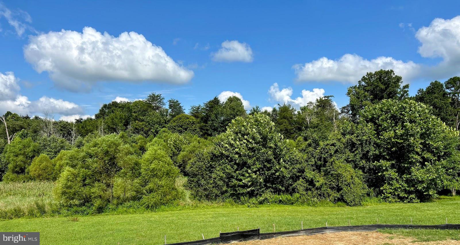 Tbd Lookout Circle Orange, VA 22960 - Photo 5 of 48 a view of a big yard