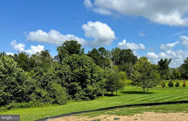 a view of a big yard with swimming pool and green space