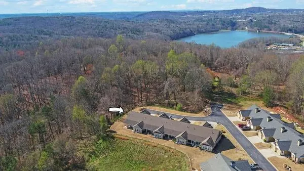 a view of a lake with a mountain
