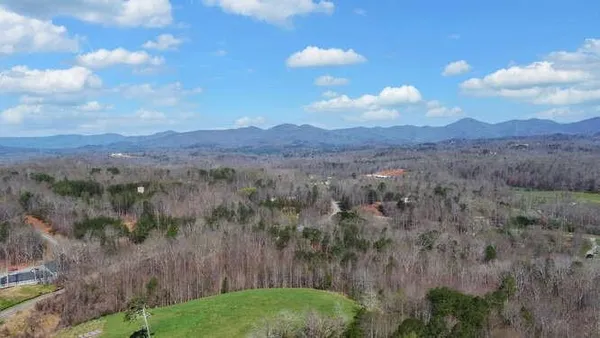 a view of a lush green hillside and a houses