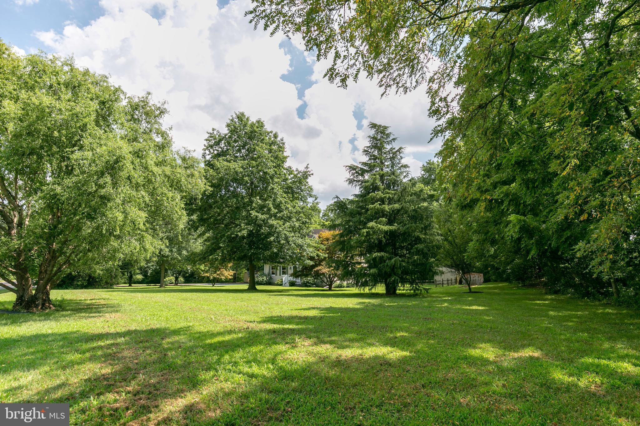 215 Roe Road Barclay, MD 21607 - Photo 3 of 49 Backs to a wooded area, a nature-lover's dream.