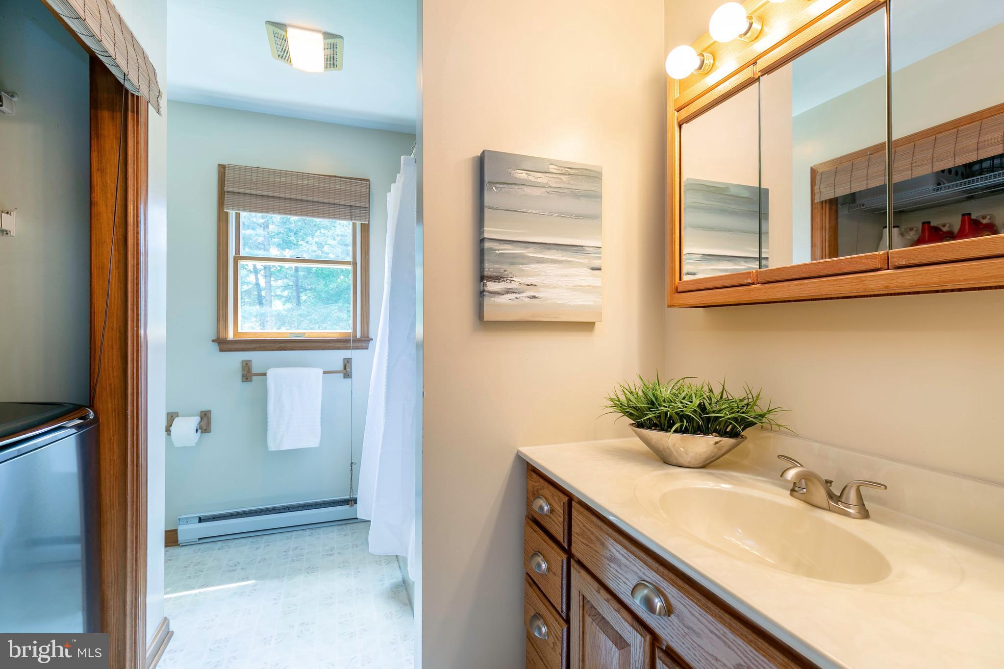 215 Roe Road Barclay, MD 21607 - Photo 23 of 49 Upper level bathroom with easily accessible W/D.