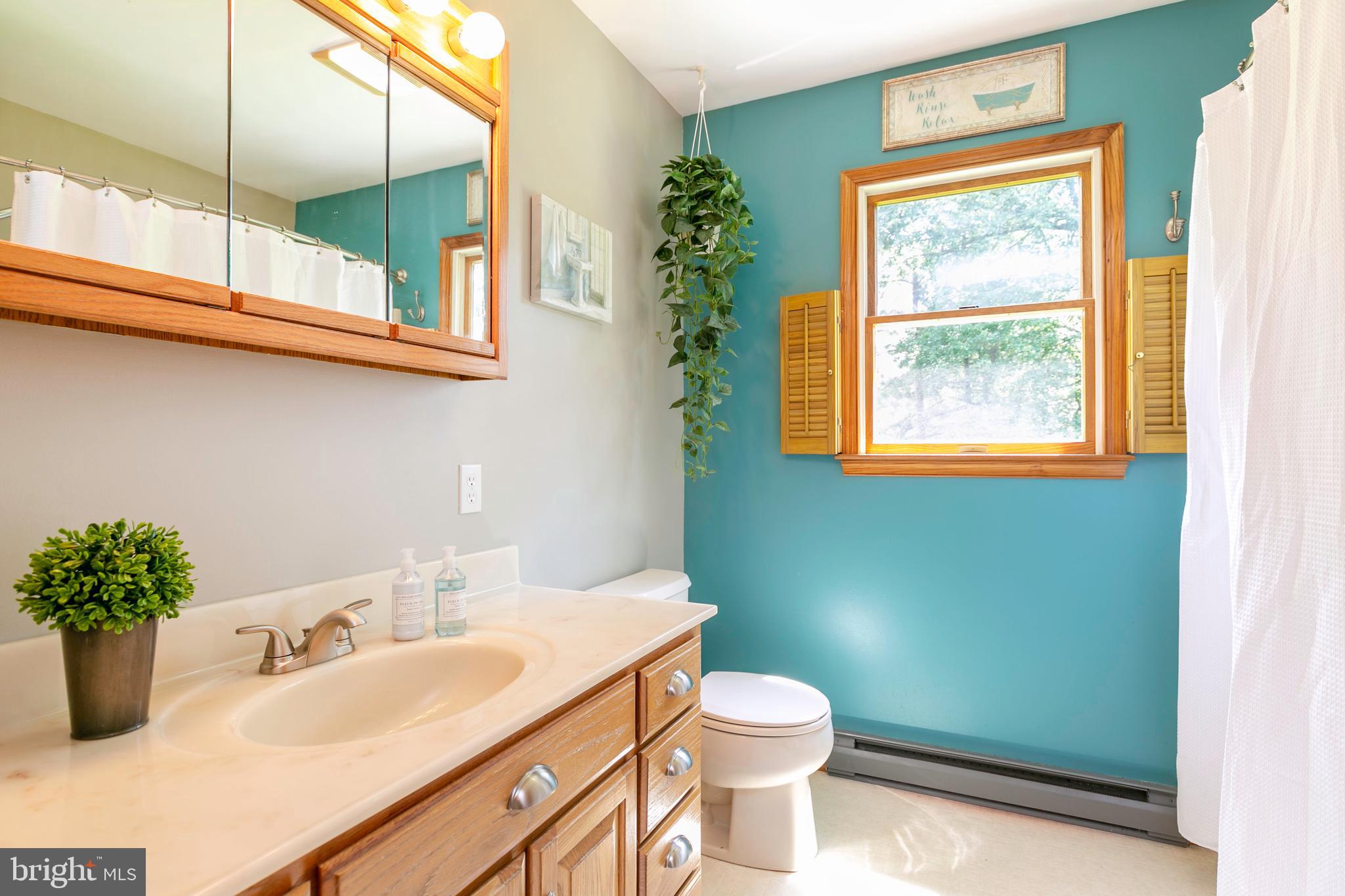 215 Roe Road Barclay, MD 21607 - Photo 25 of 49 Main floor full bathroom has 2 storage closets.