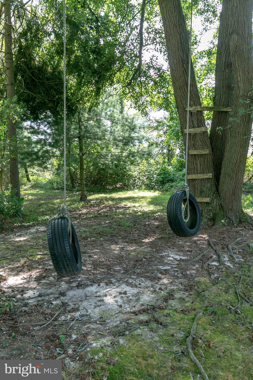 215 Roe Road Barclay, MD 21607 - Photo 44 of 49 A yard full of exploration and adventures.