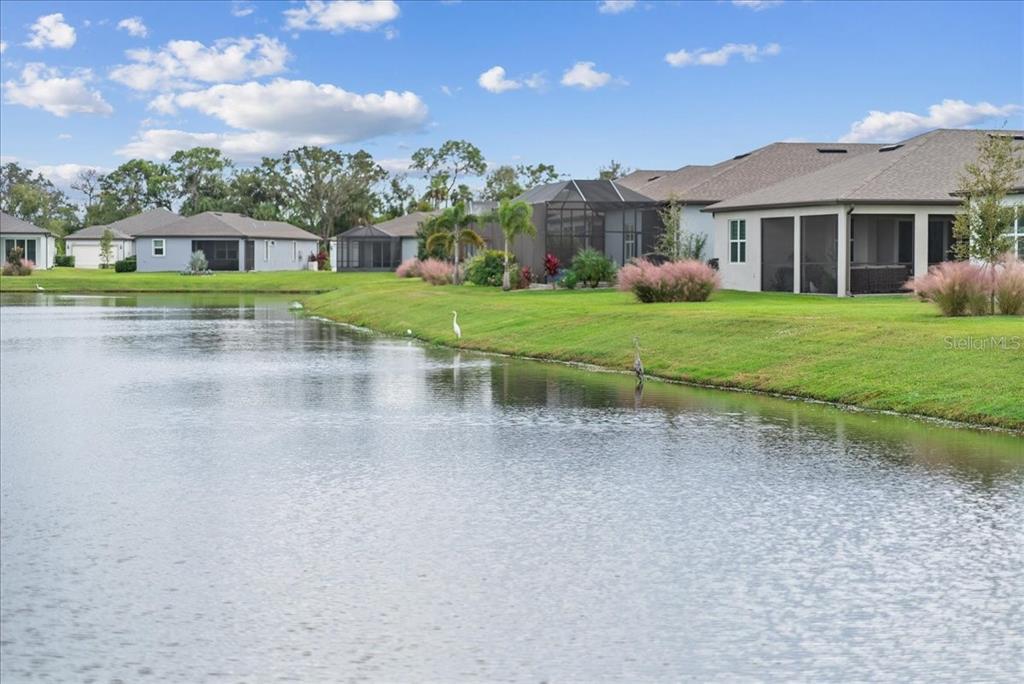 9434 Ballaster Pointe Loop Palmetto, FL 34221 - Photo 60 of 66 a view of a house with a yard