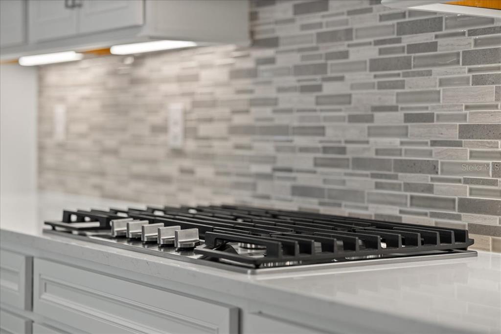 9434 Ballaster Pointe Loop Palmetto, FL 34221 - Photo 10 of 66