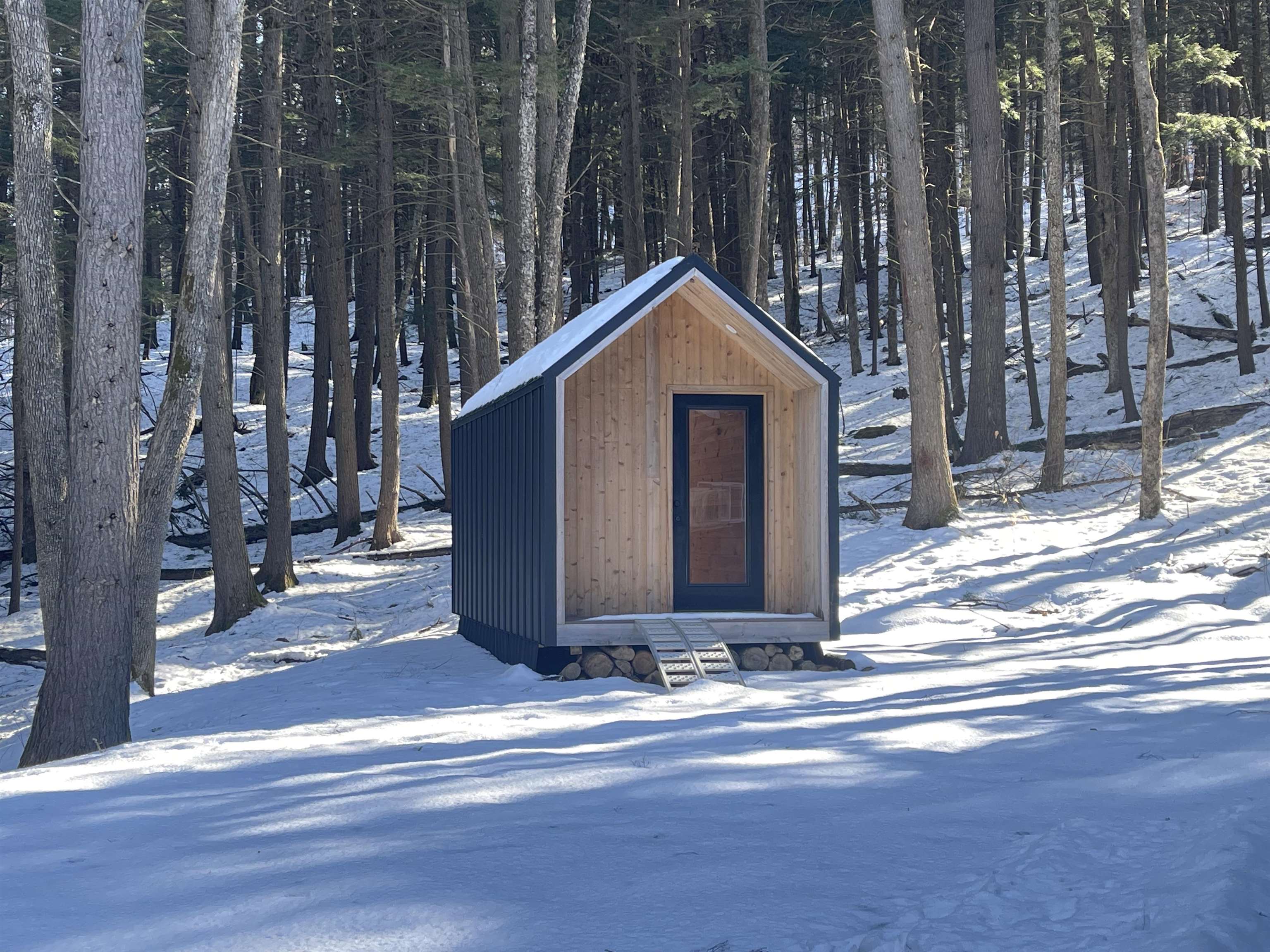 1406 Cole Pond Road Jamaica, VT 05343 - Photo 2 of 21 Gallery Image 2